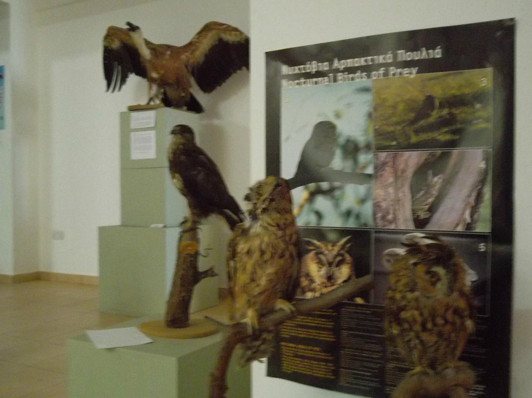 The Museum of Natural History-Pomos必去景点