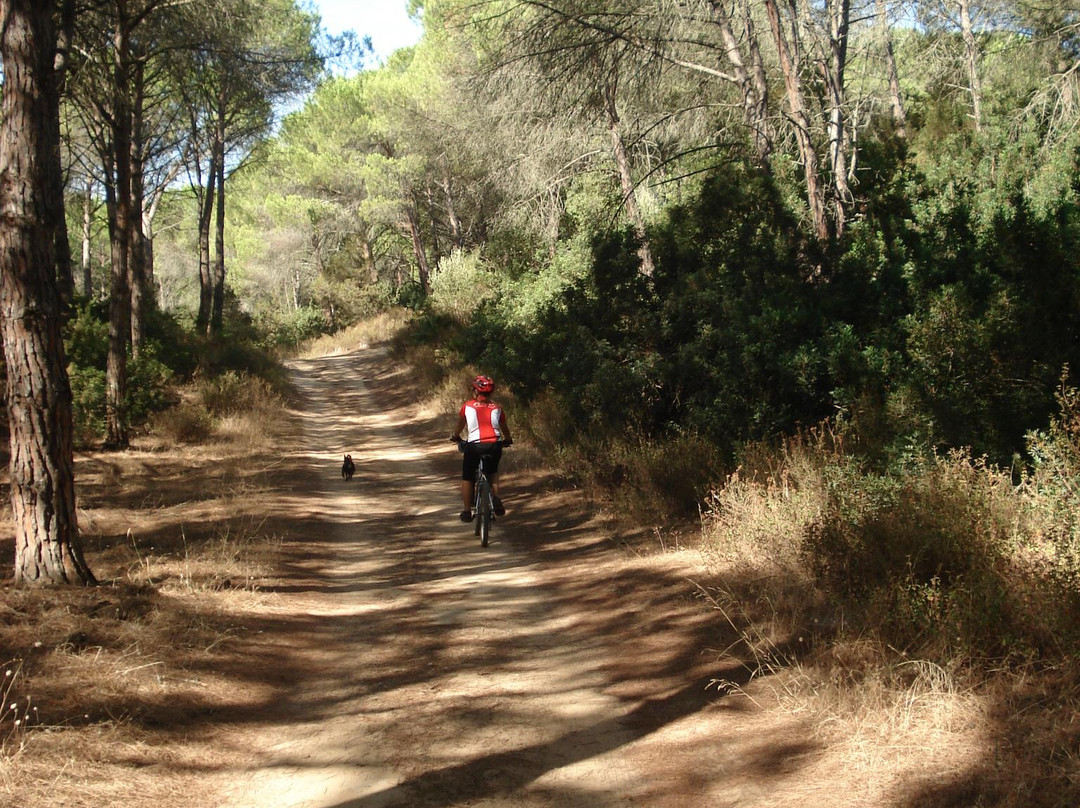 Baratz Rent a Bike-阿尔盖罗必去景点