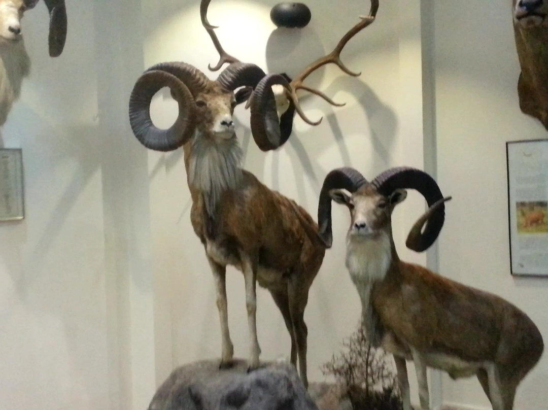 Darabad Museum of Natural History-德黑兰必去景点