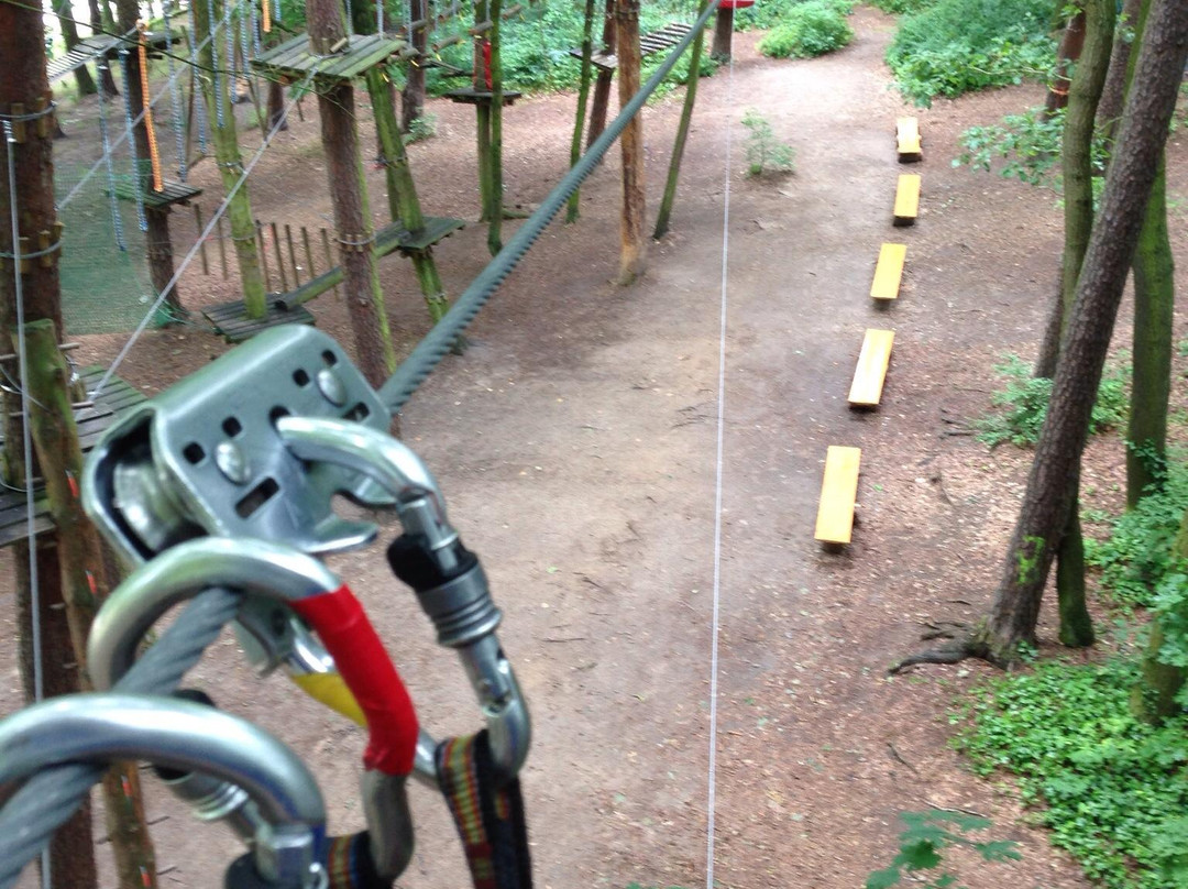 Tarzania High Rope Park景点图片