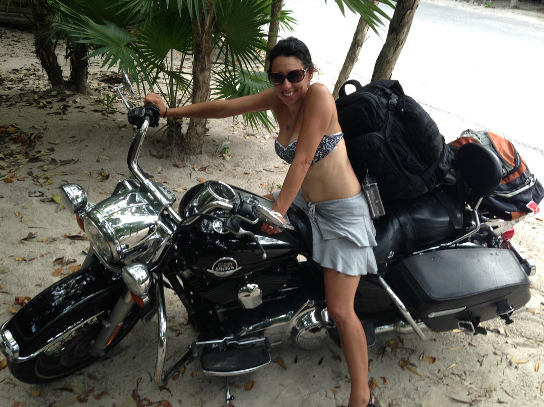 Harley-Davidson Motorcycle景点图片