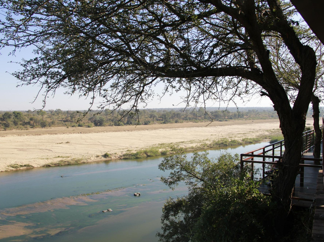 Steenbok旅游攻略图片