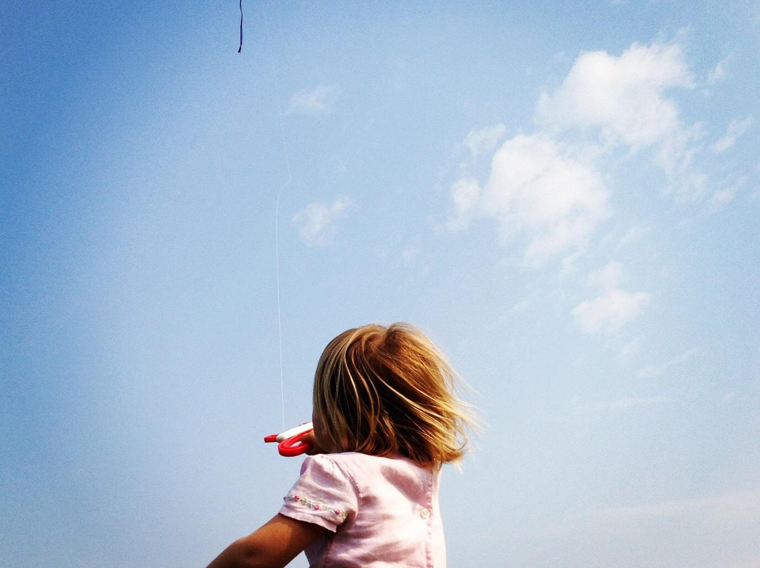 Livingston Kite Company-利文斯顿必去景点