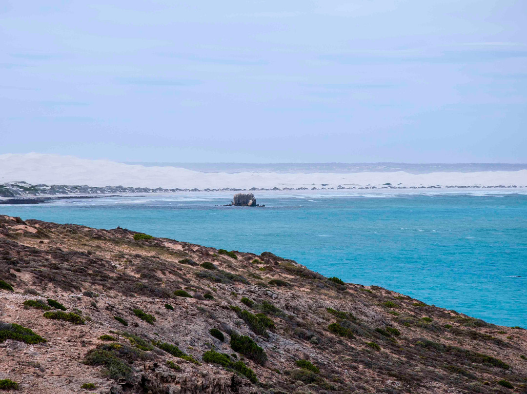 Head of Bight-Ceduna必去景点