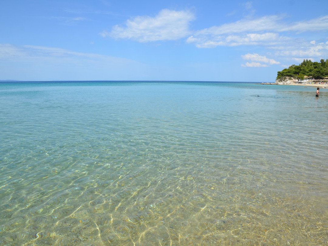 Kalogria Beach-Nikiti必去景点
