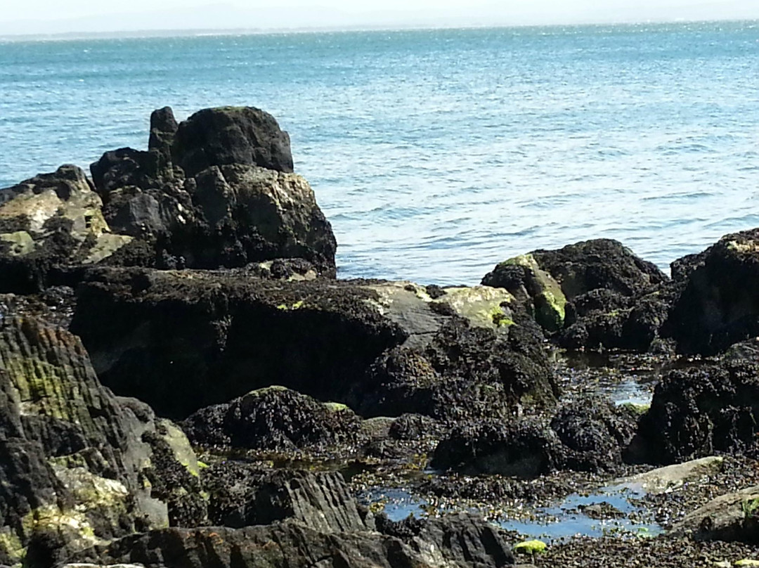 Moville旅游景点-Moville Shore Path