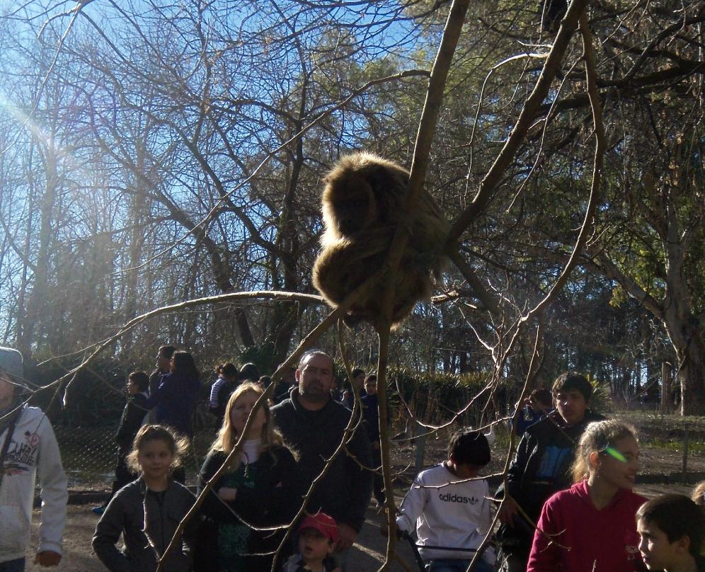 Parque Zoologico La Maxima-Olavarria必去景点