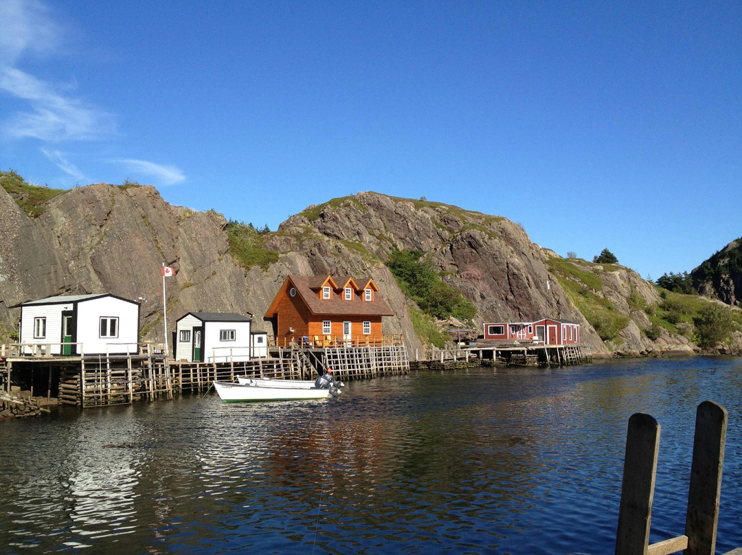 Quidi Vidi Brewery景点图片