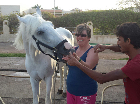 Edelweiss Equestrian Center-沙姆沙伊赫必去景点