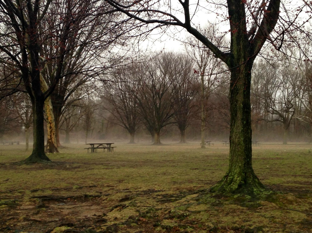 Mount Vernon Trail-阿灵顿必去景点