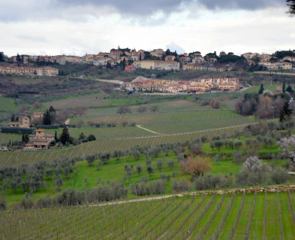 Fontodi Winery-Panzano in Chianti必去景点