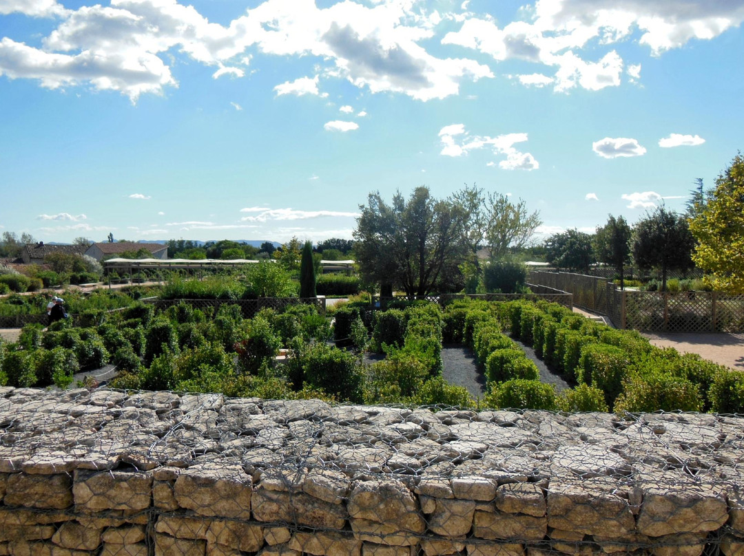 Jardin Romain景点图片