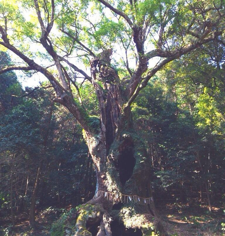 Takeo no Okusu-武雄市必去景点