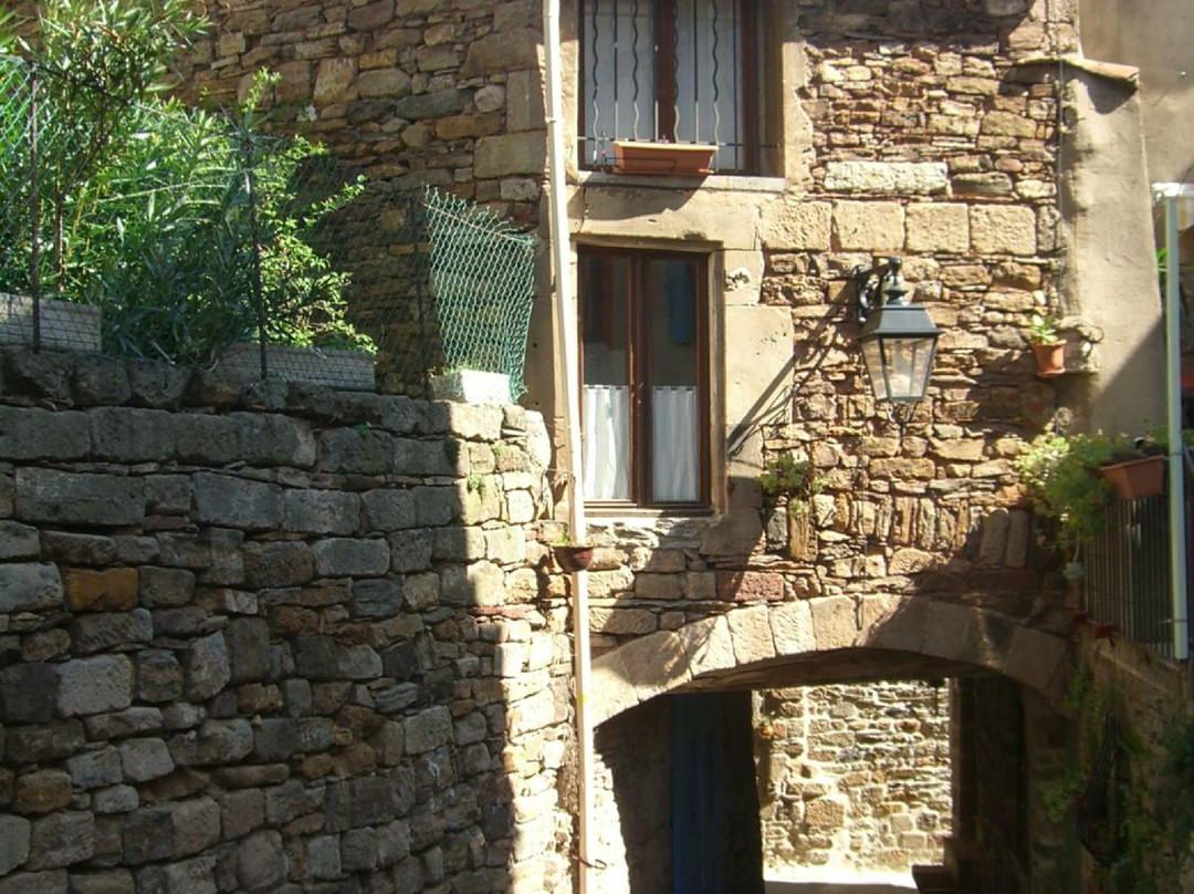 Saint-Jean-de-la-Blaquiere酒店住宿-Domaine de Flo
