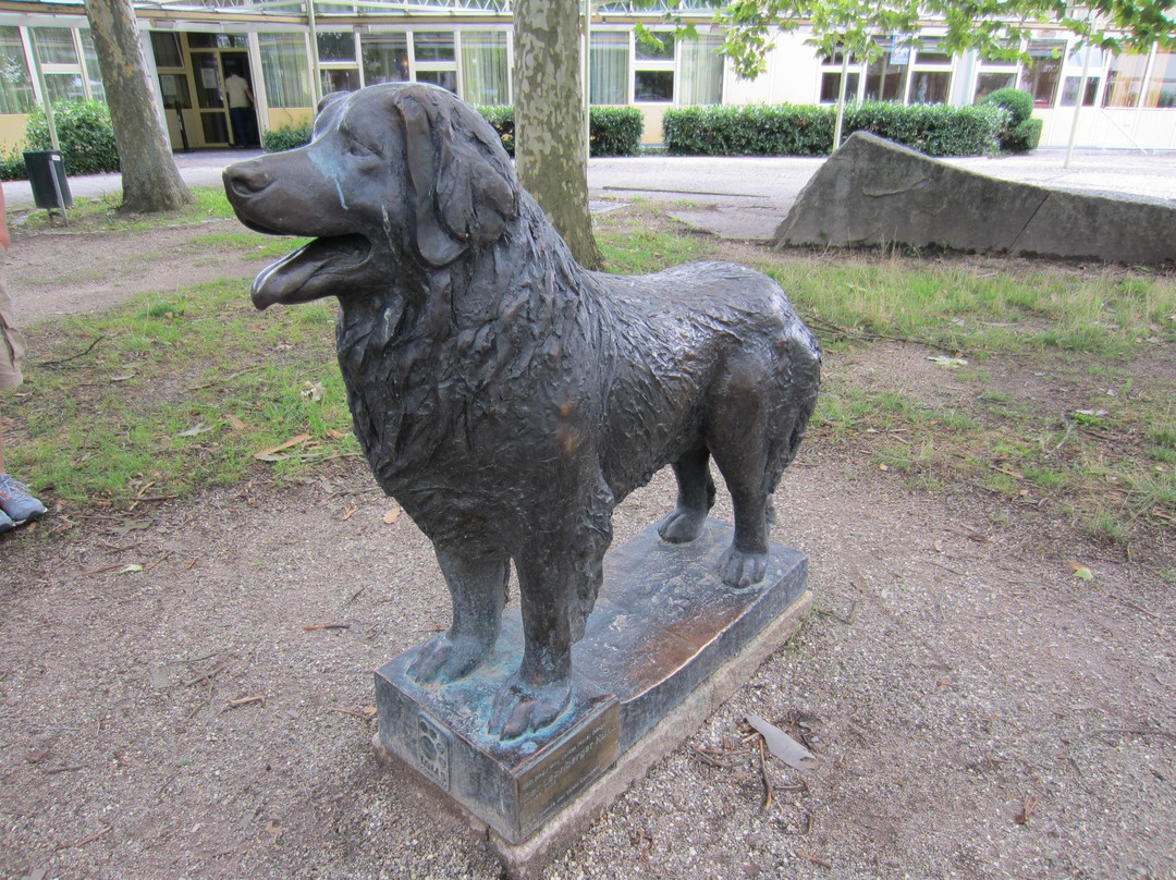 Leonberg Dog Statue景点图片