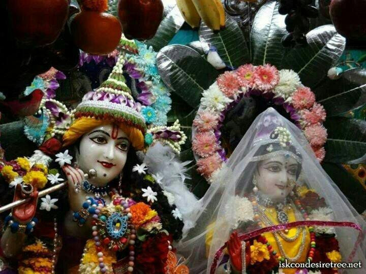 ISKCON Indore景点图片