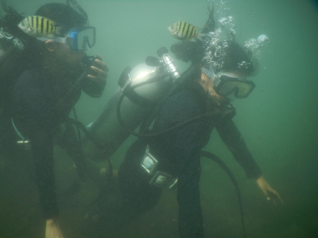 Tarkarli Scuba Diving景点图片