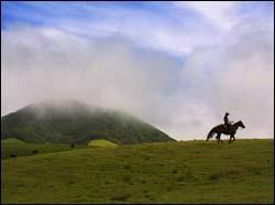 Na'alapa Stables - Kahua Ranch-卡慕也拉必去景点