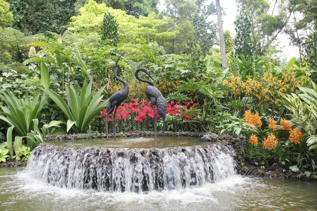 新加坡植物园-新加坡必去景点