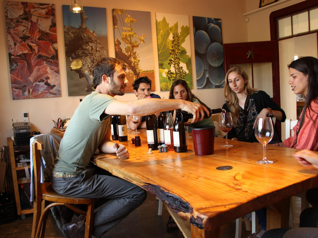 Assaf Winery-Kidmat Tzvi必去景点