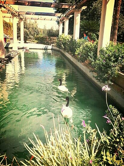 Kitchen Garden of San Anton Palace景点图片