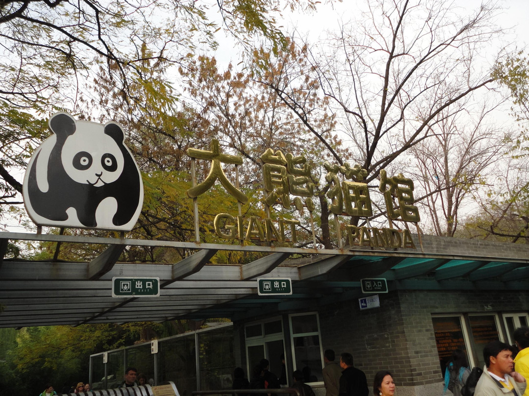 北京动物园-北京市必去景点