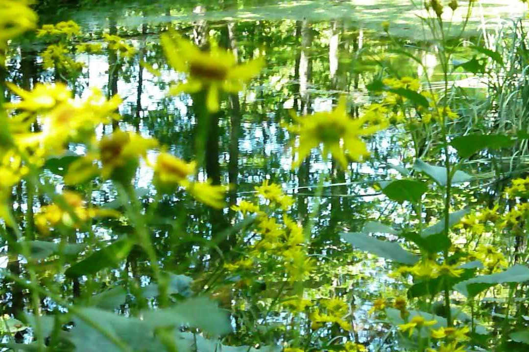 Giardino Botanico Alpino Esperia景点图片