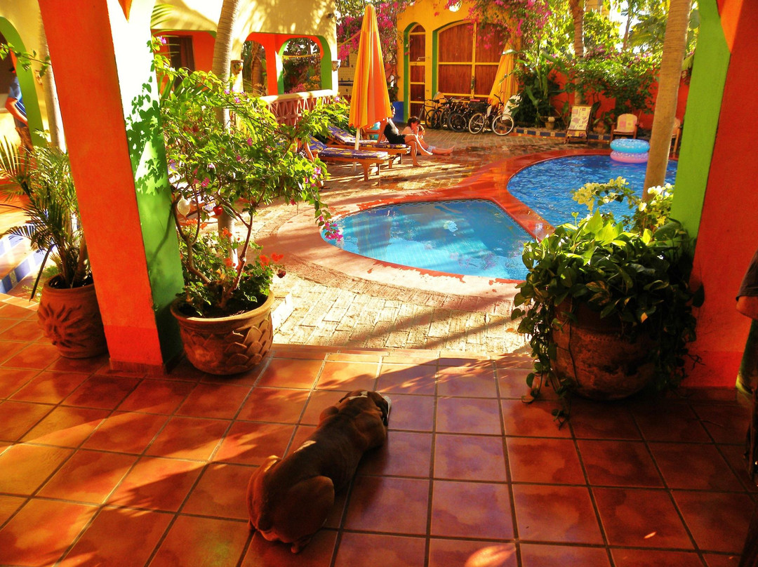 El Palmar Beach &Tennis Resort