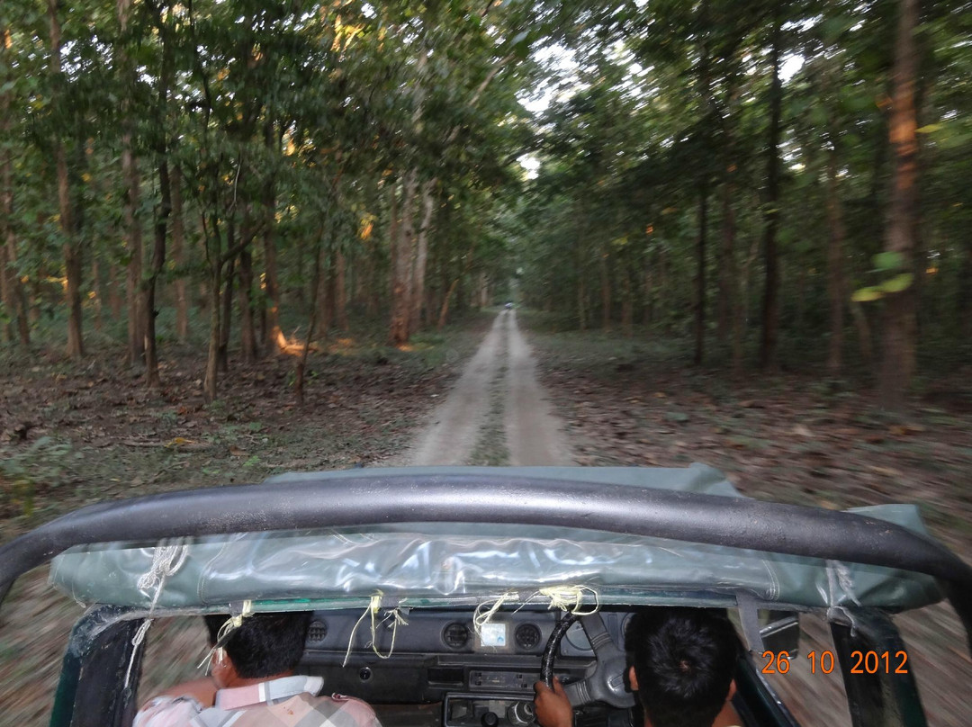 Chilapata Wildlife Sanctuary景点图片