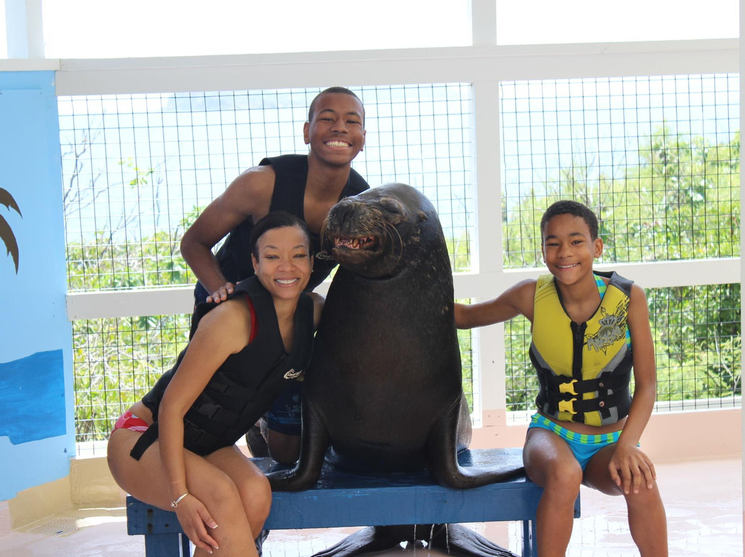 Coral World Ocean Park-Smith Bay必去景点