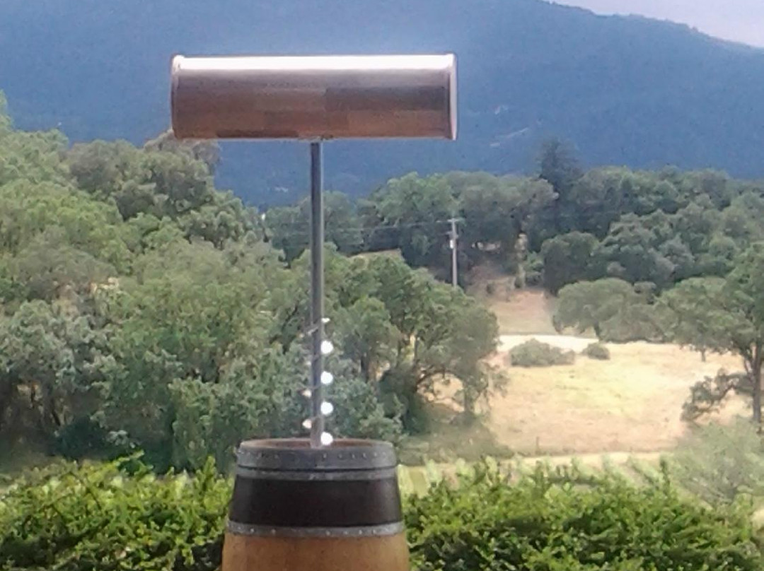 Stacy's Wine Tours景点图片