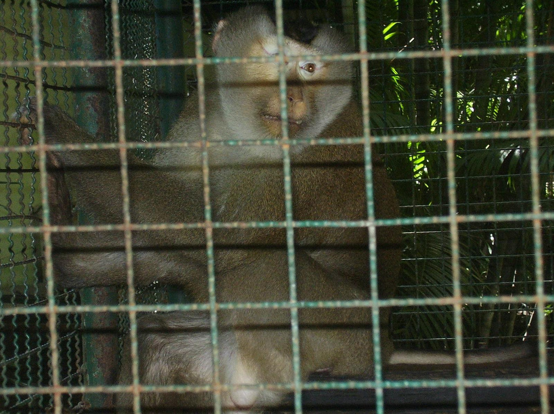 Trakarn zoo ubon-打干普奔必去景点
