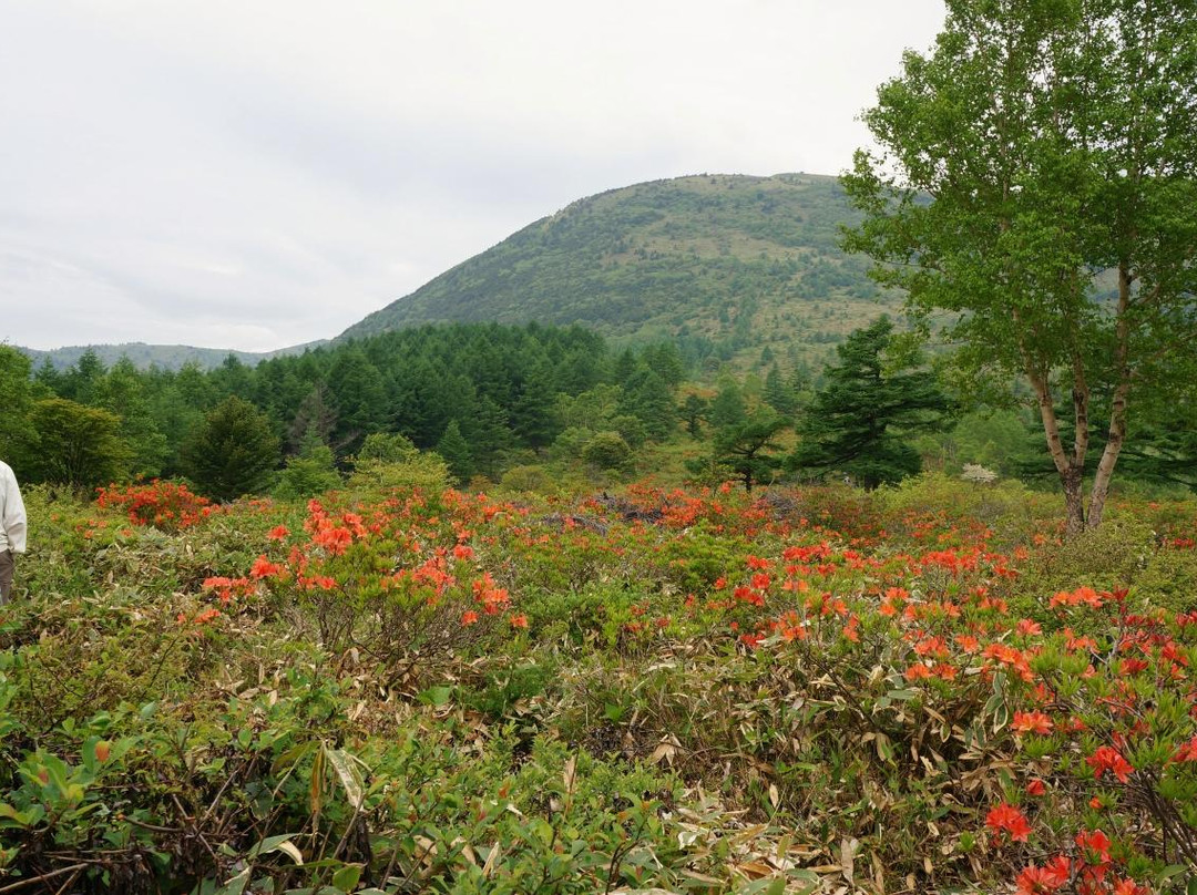 Yunomaru Ski Area-东御市必去景点