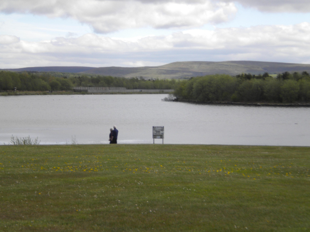 Parc Bryn Bach景点图片