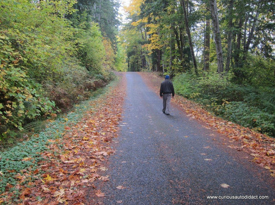 Quilcene旅游攻略图片