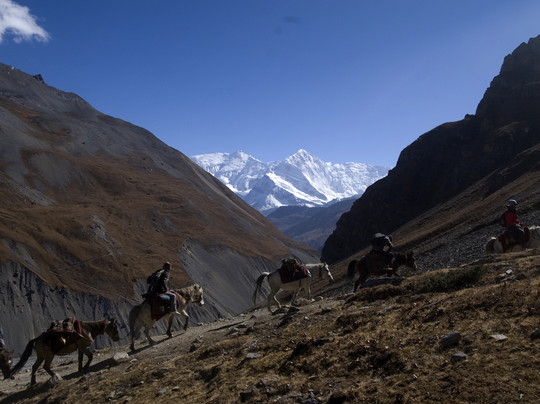 Himalayan Joy Adventure-加德满都必去景点