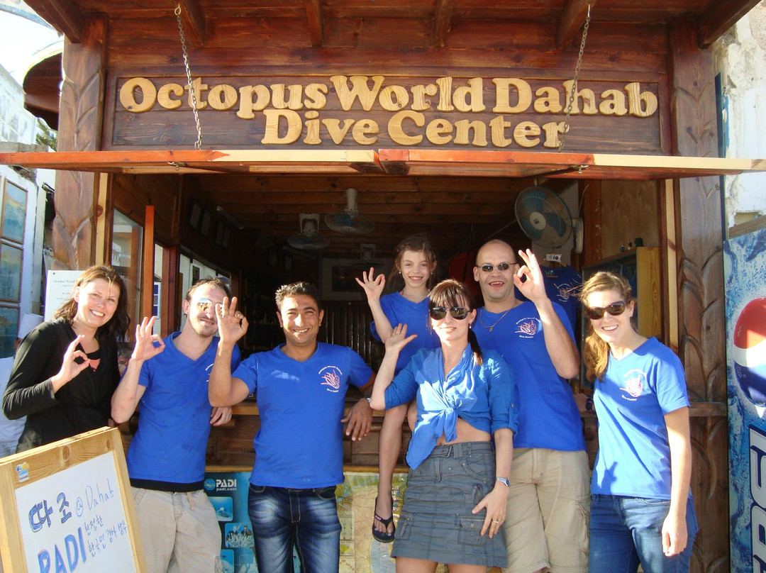 Octopus World Dahab-达哈卜必去景点