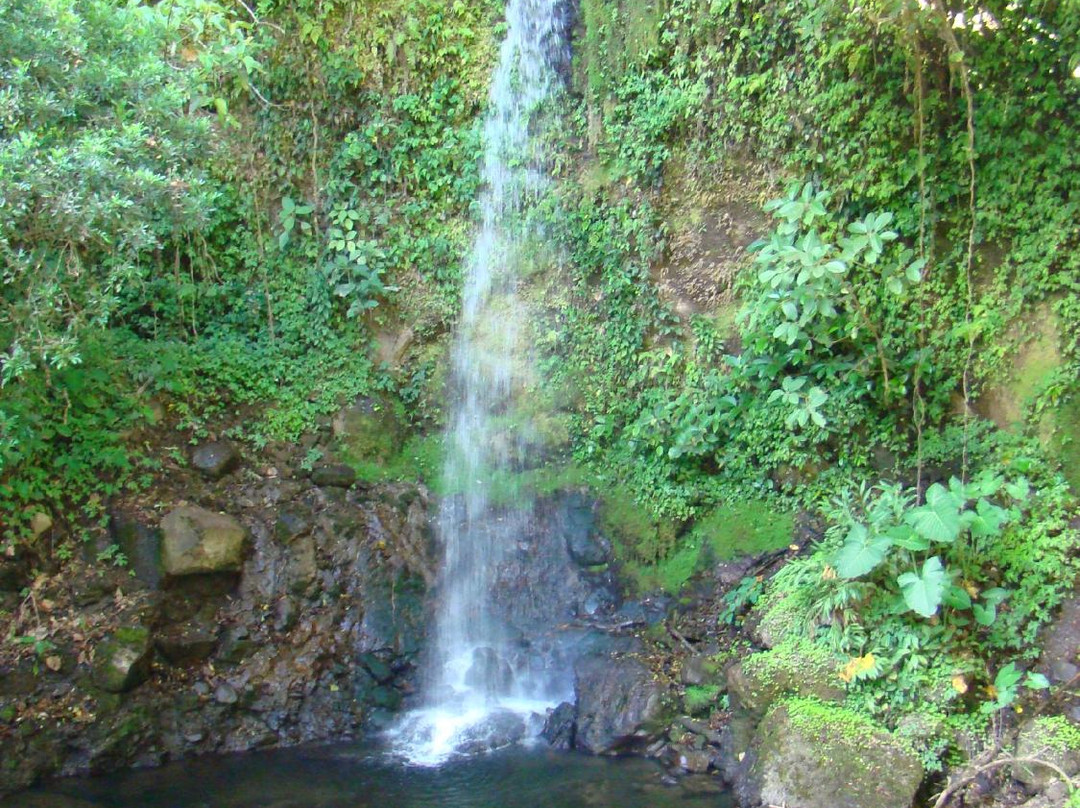 Viento Fresco Waterfall景点图片