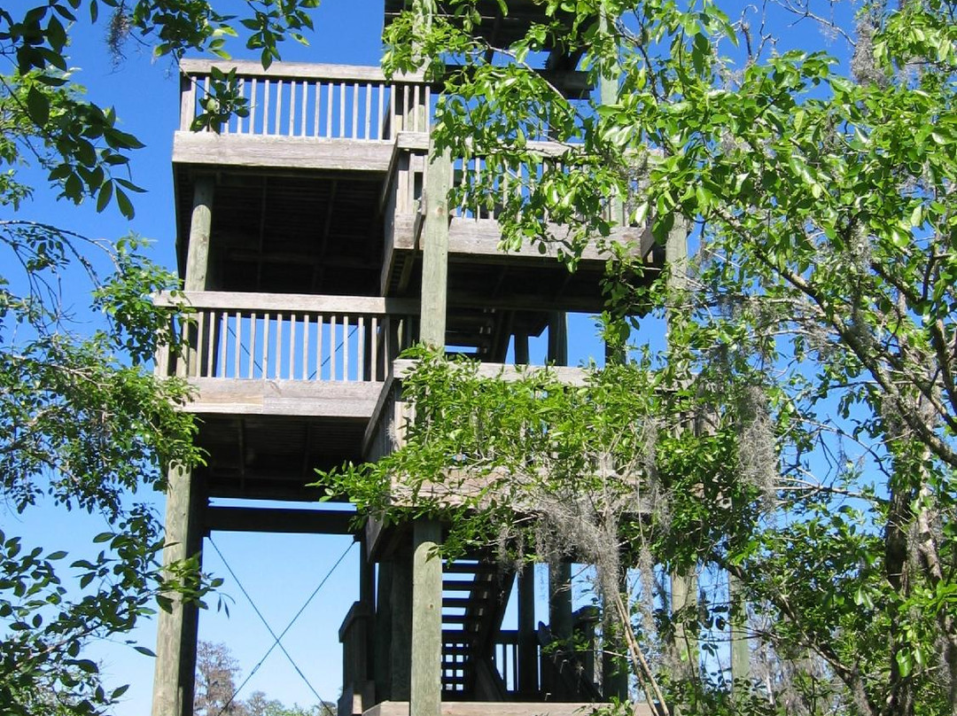 生菜湖地区公园-坦帕必去景点