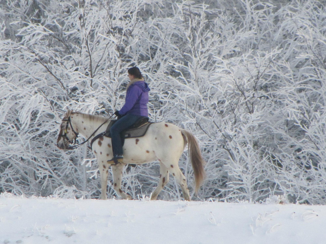 Cheat Mountain Stables-雪鞋山必去景点