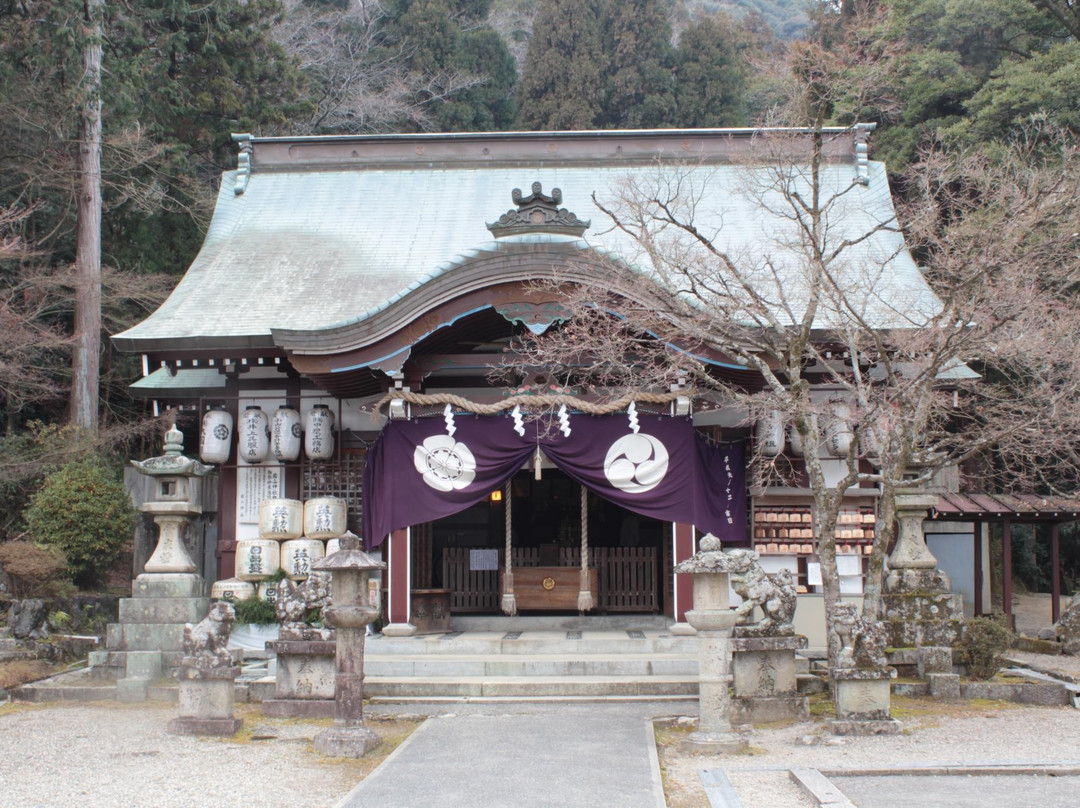 Wakayama Shrine景点图片