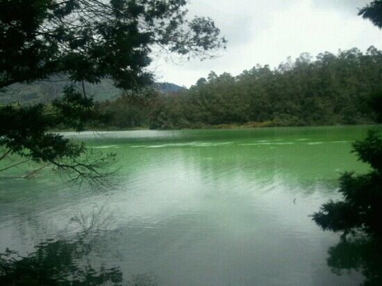 Telaga Warna景点图片