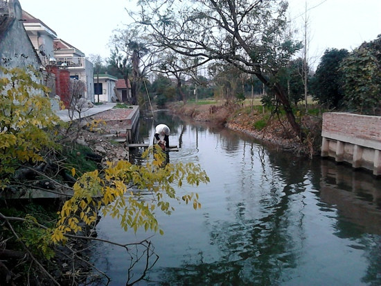 上海崇明前卫生态村