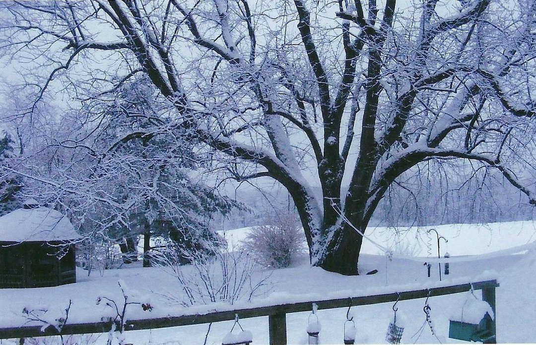 Putnam House B&B主图