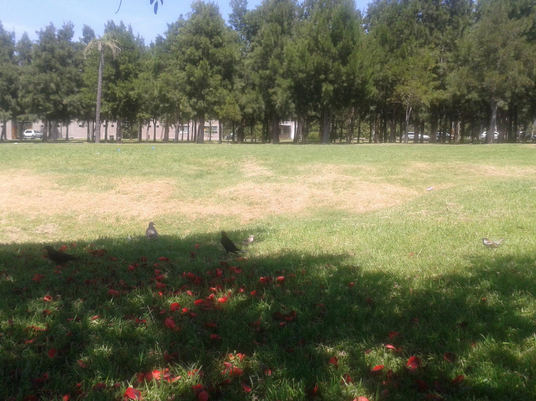 Parque de los Ninos de la Ciudad de Buenos Aires Costanera-布宜诺斯艾利斯必去景点