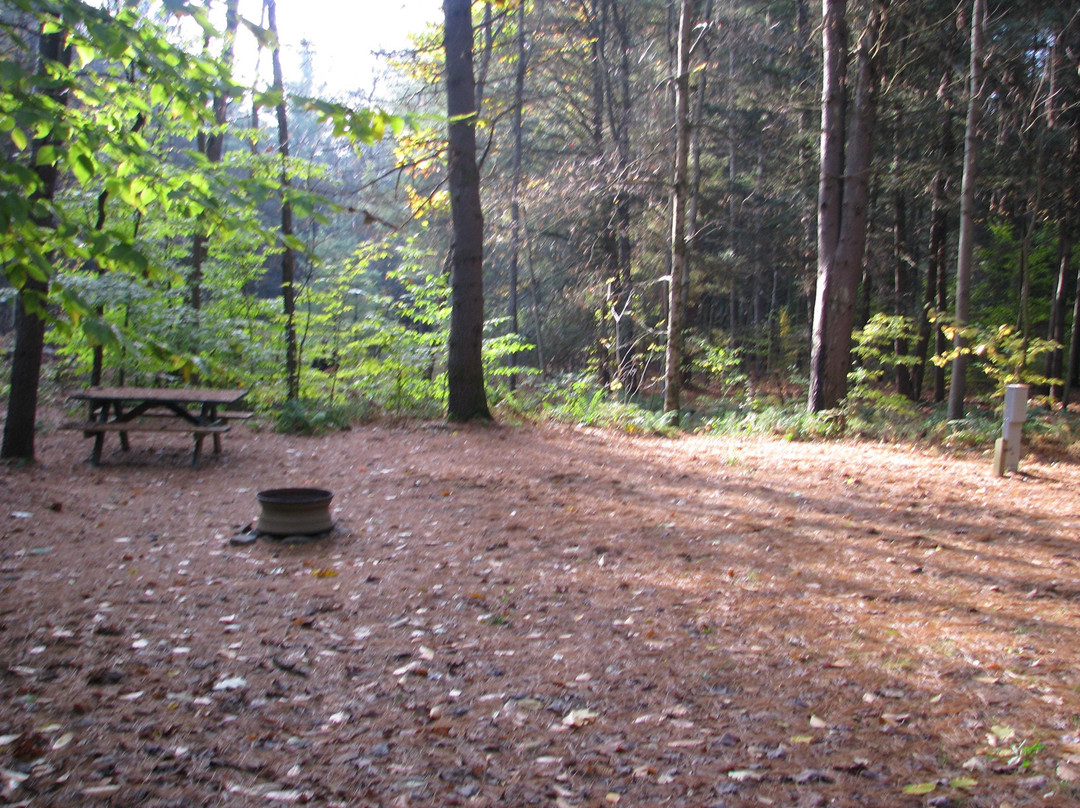 Whispering Pines Campsites