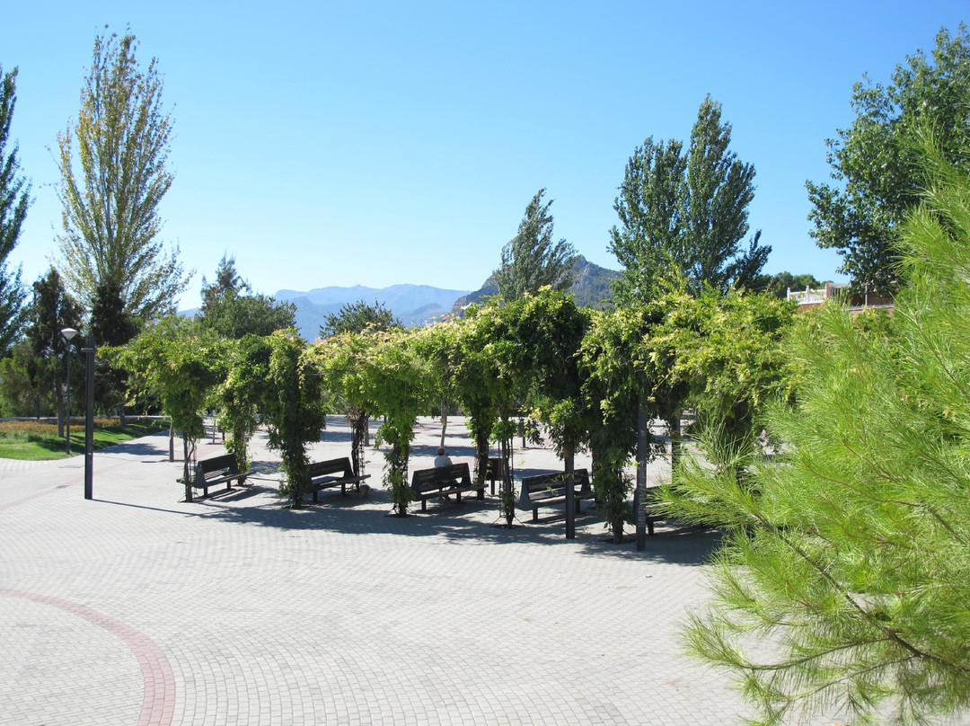 Parque del Seminario景点图片