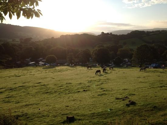 Burrowhayes Farm