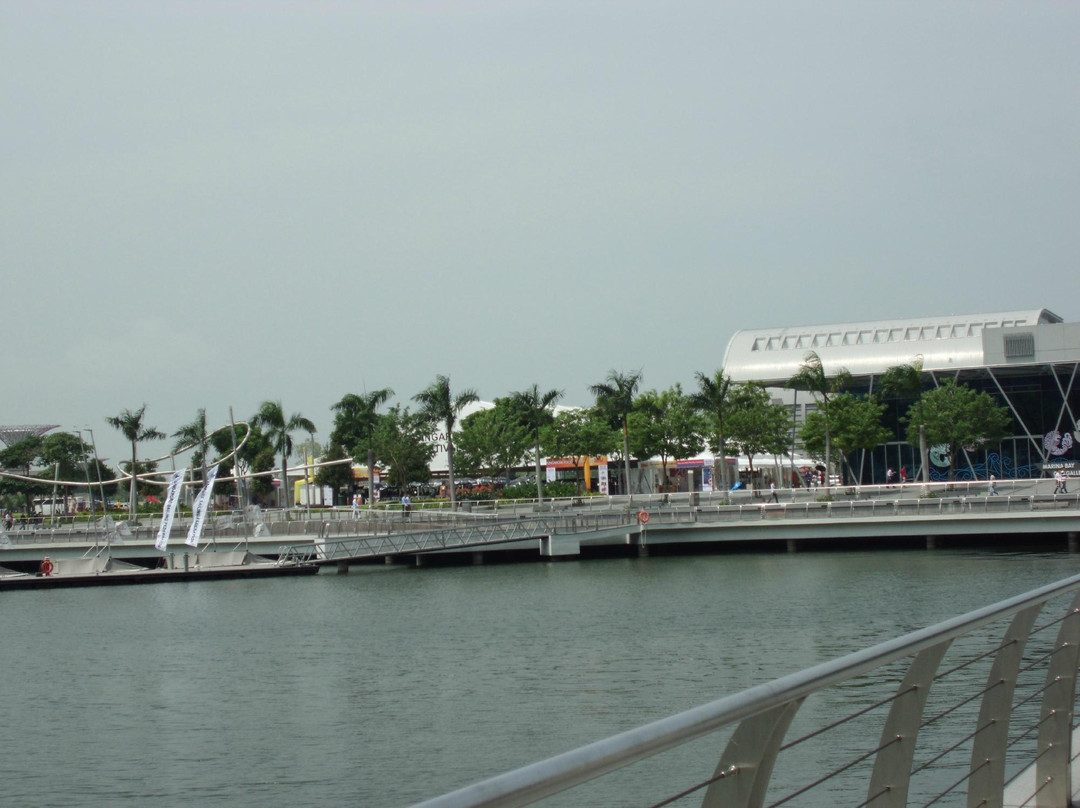 Stamford Raffles Palace景点图片