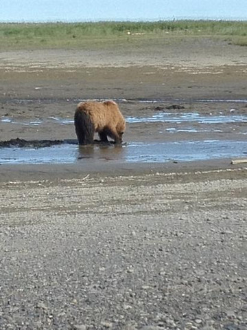 Sea Hawk Air-Kodiak必去景点